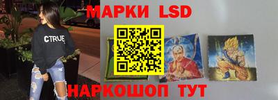 гидра Будённовск
