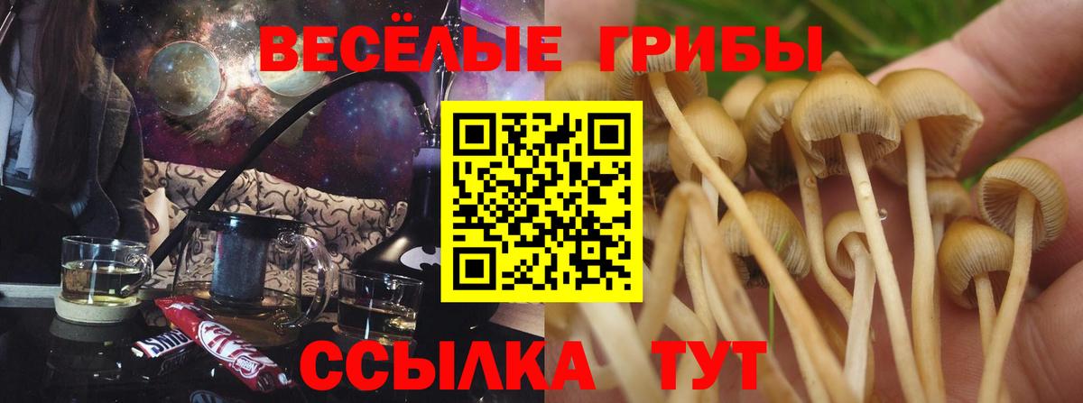 Псилоцибиновые грибы MAGIC MUSHROOMS Невинномысск